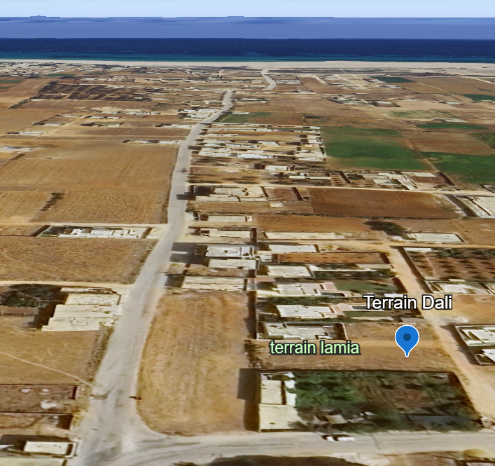 Terrain Vue Mer titré à Dar Allouche - kerkouane 1km de la plage